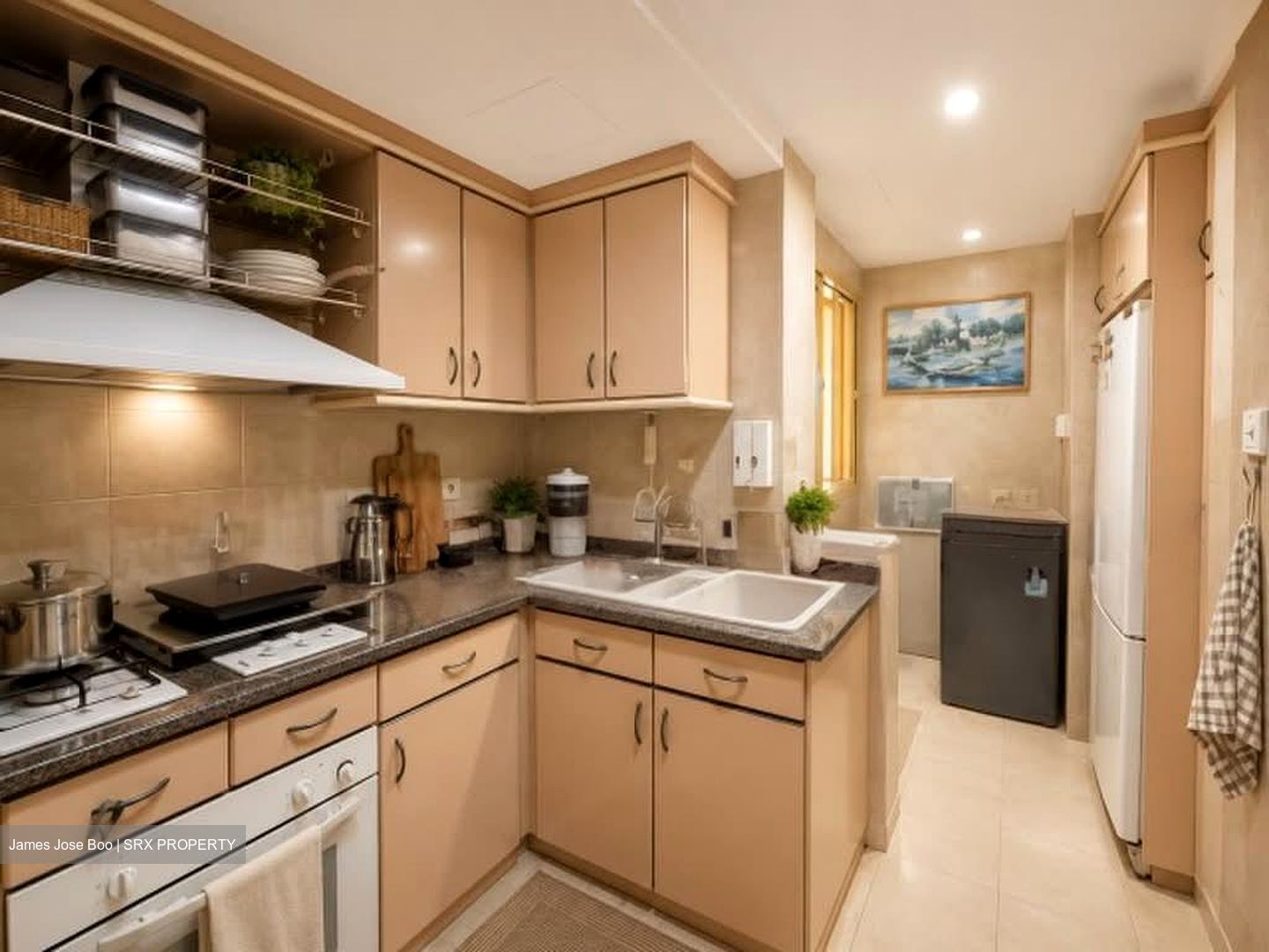 Villa Marina (D15), Condominium #575080921